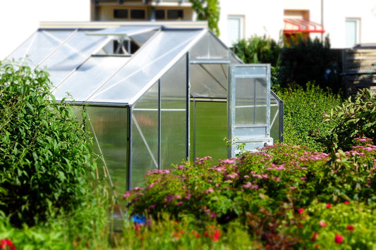 How to Choose Right Backyard Greenhouse - A Guide for Beginners.