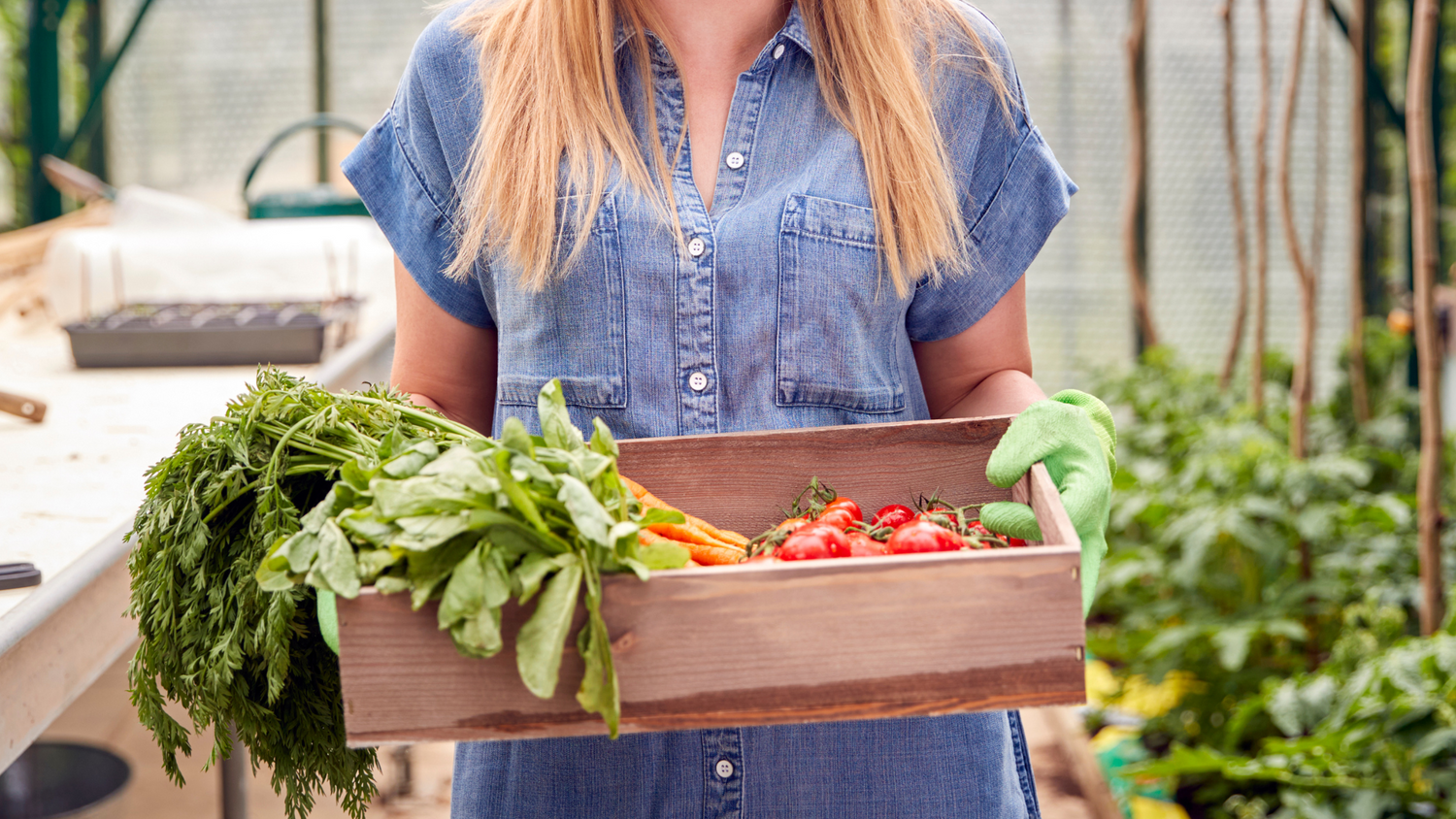 Fresh homegrown vegetables