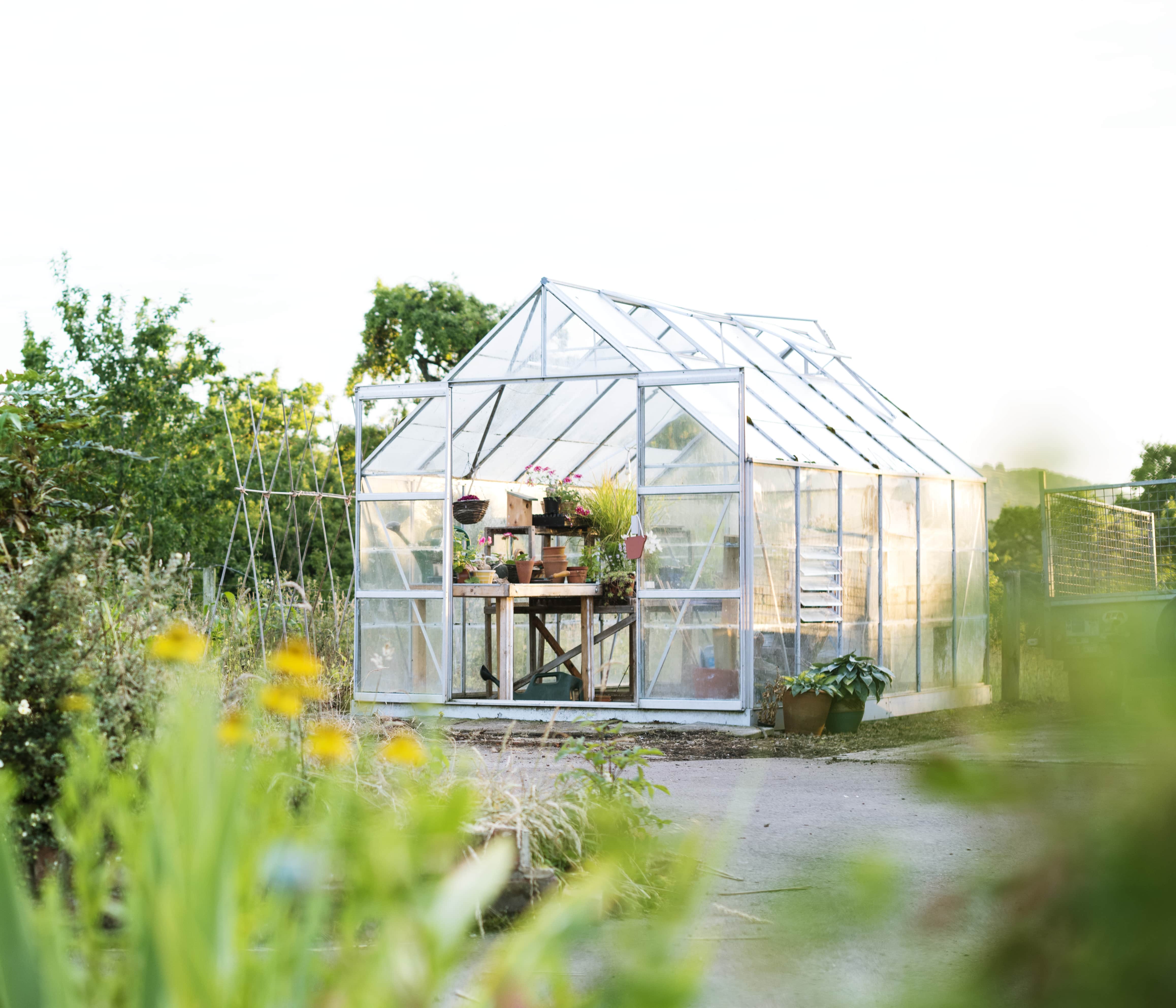 Greenhouses　Year-Round　Gardening!　Galore　Shop　One-Stop　Your　for